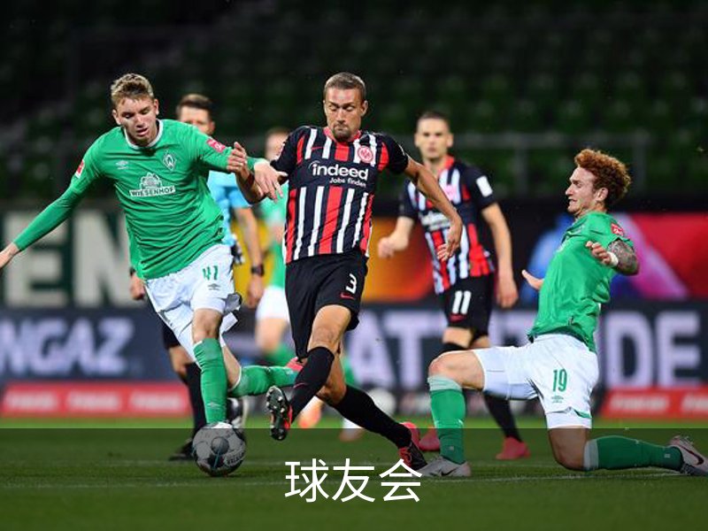 球友会简介
